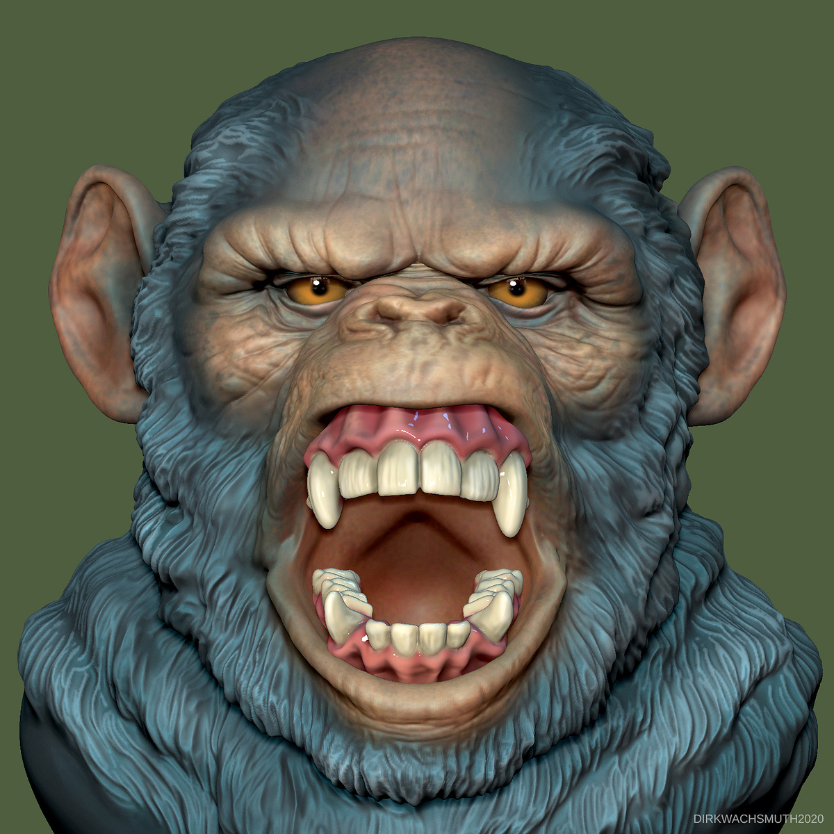 chimp_04