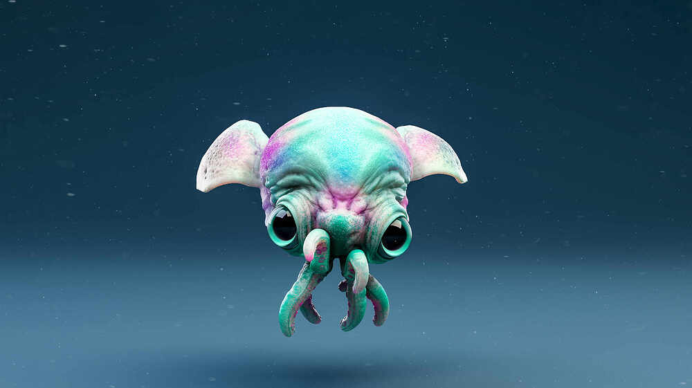 Babysquid02