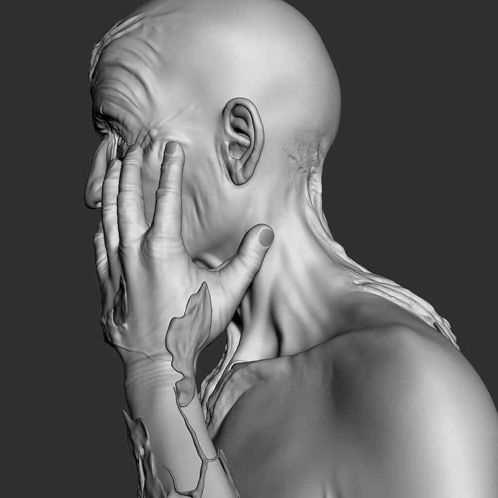 ZBrush Document5s