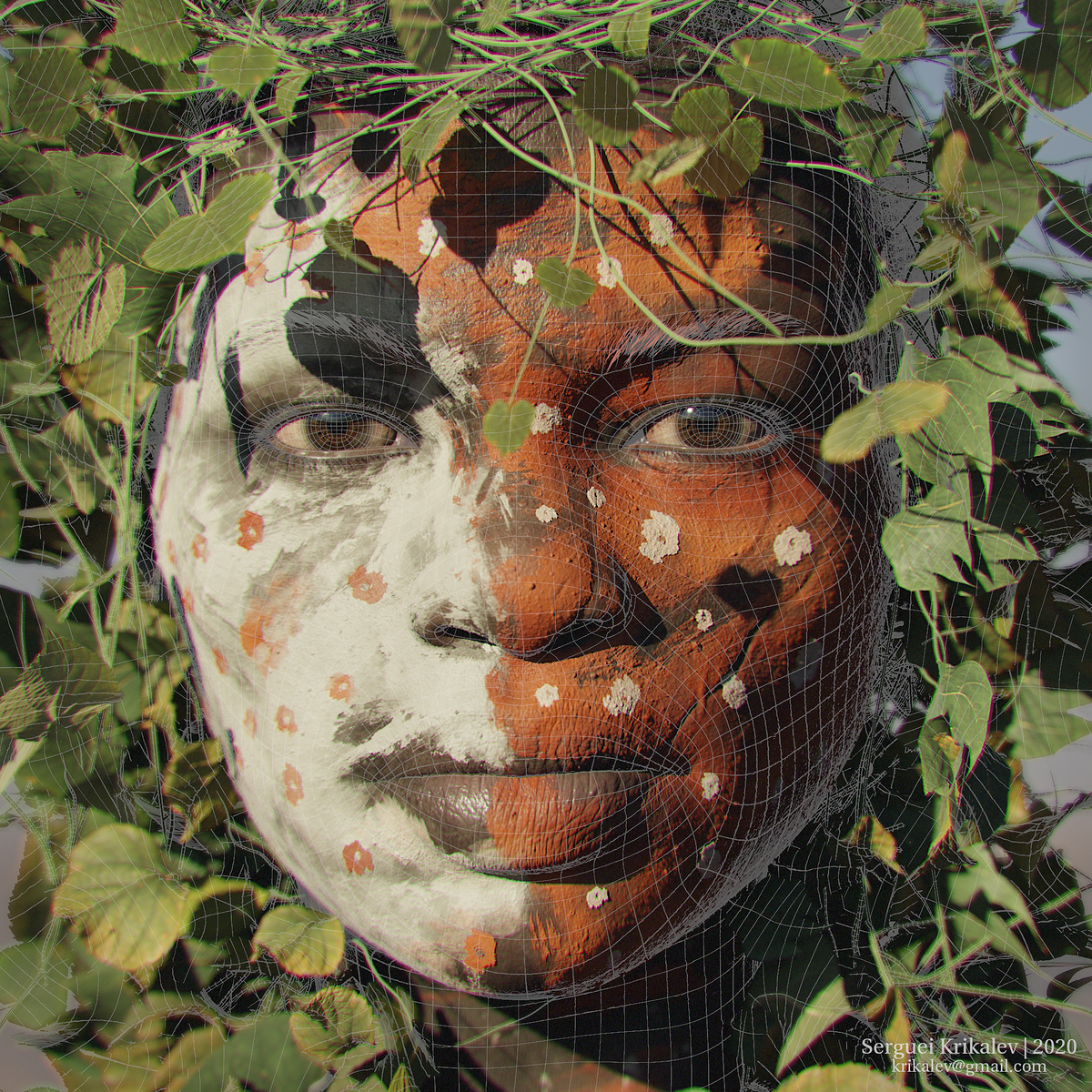 FaceWireLOW