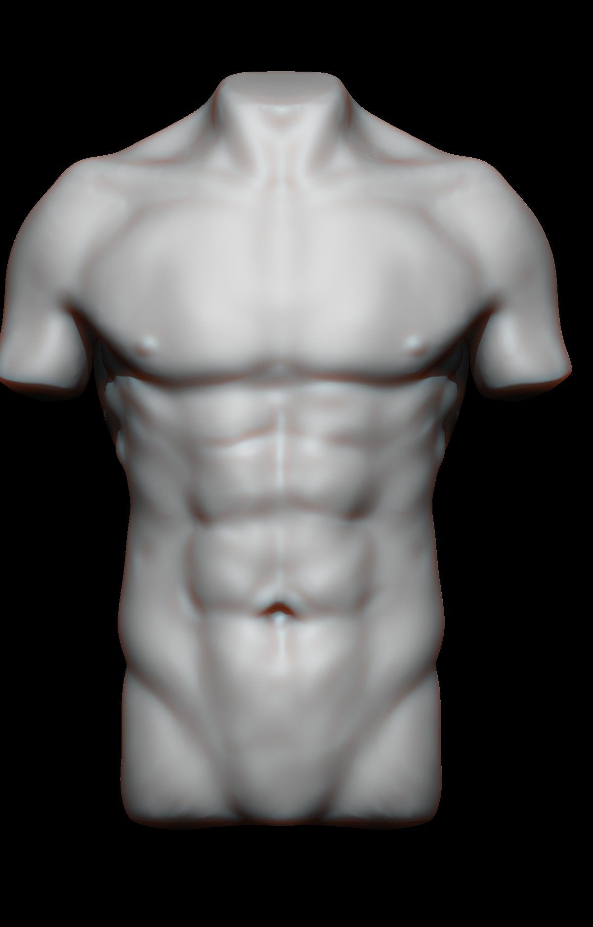 Front Torso.jpg