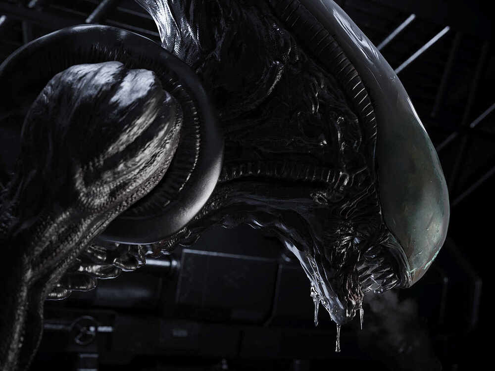 XENOMORPH-SIDE_low