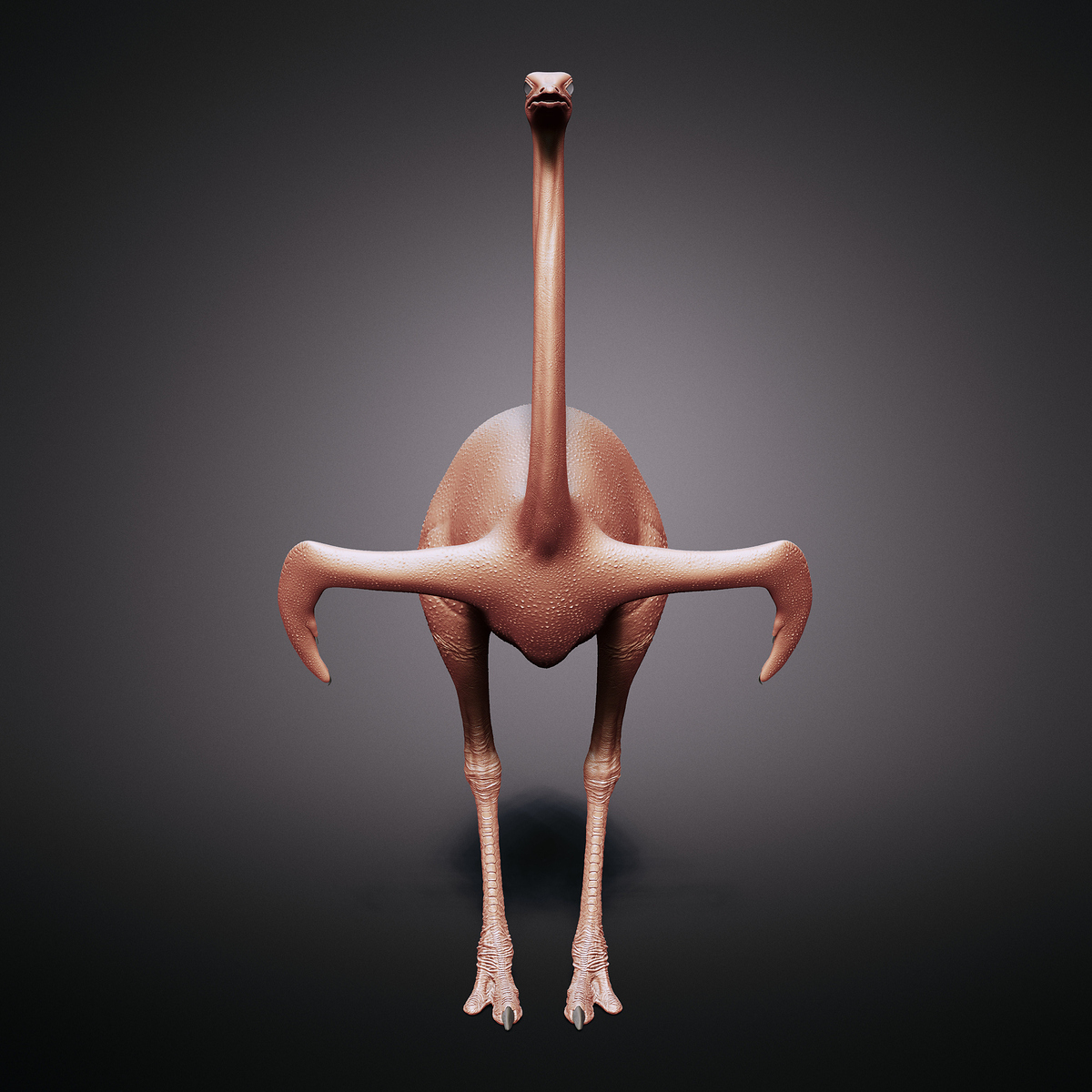 Ostrich_scu0002