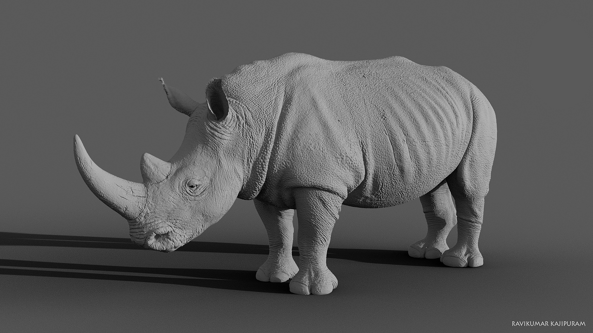 rhino materials download rhino materials download