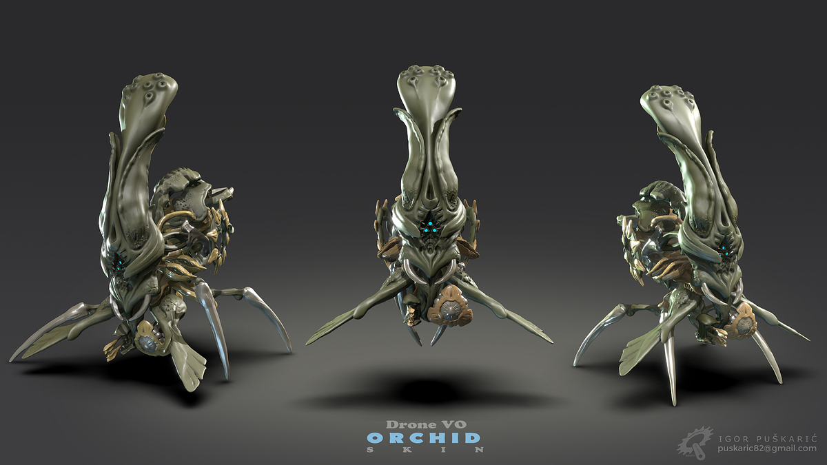 Orchid%20drone%20Facebook%20Insta%20Clip%20Cover%20INFO