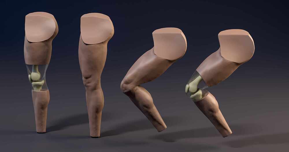 Leg_all_05
