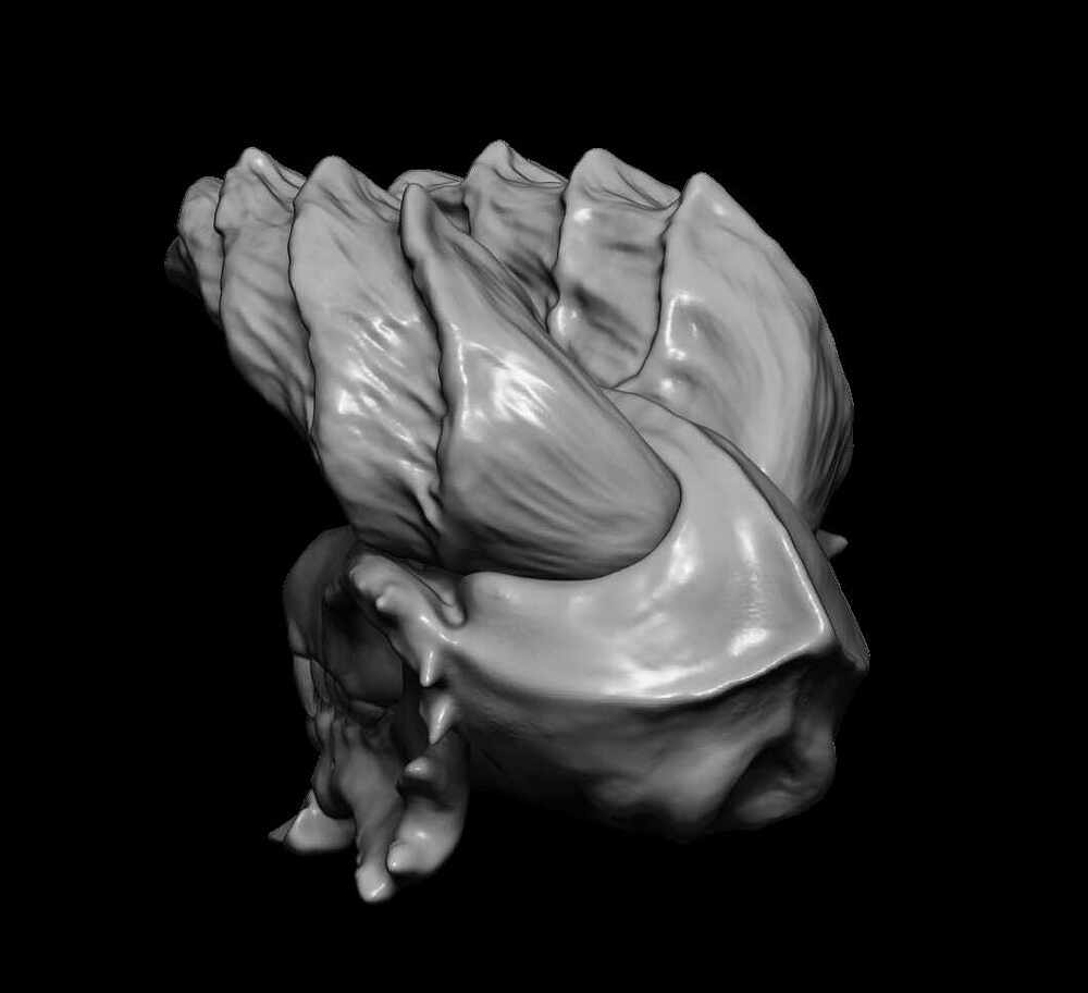 BPR_Render4