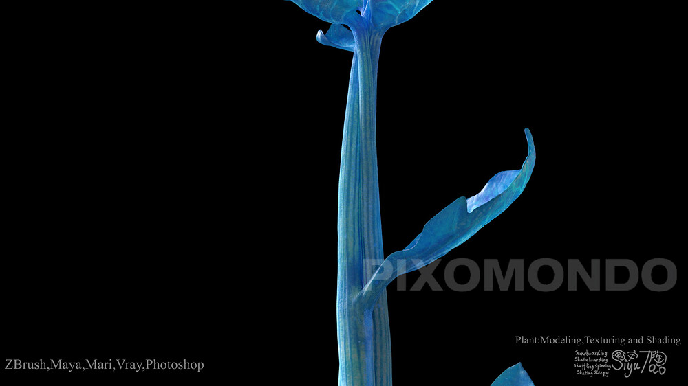 ShowreelLVP_00239