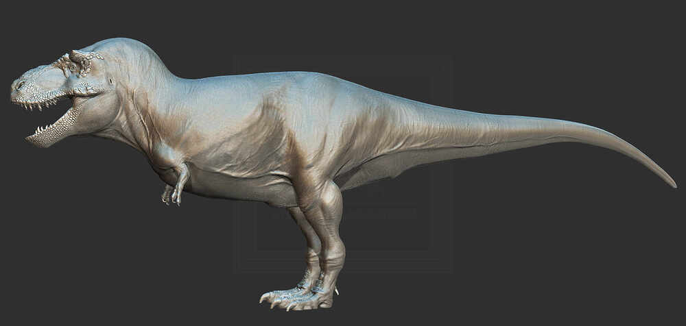 ZBrush Document10