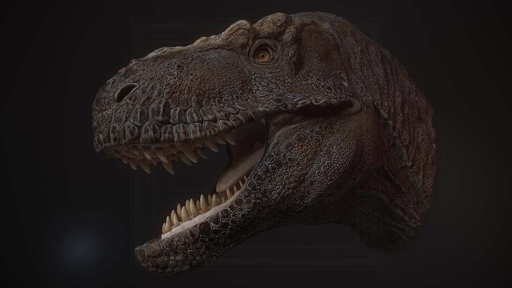 head4