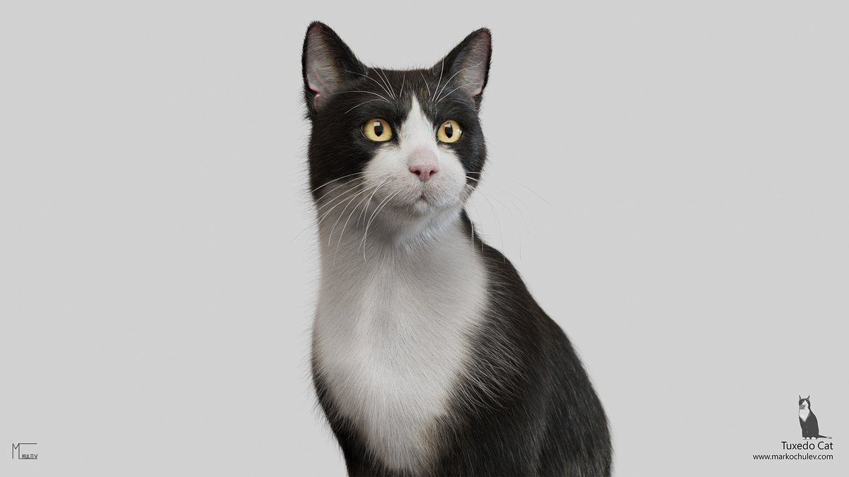 TuxedoCat.v1.4