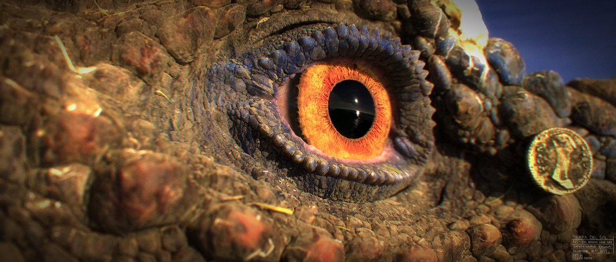 ni_20191201_eyecloseup_4k_cu_001