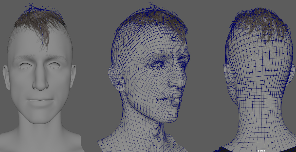 maya_hair_wire.jpg