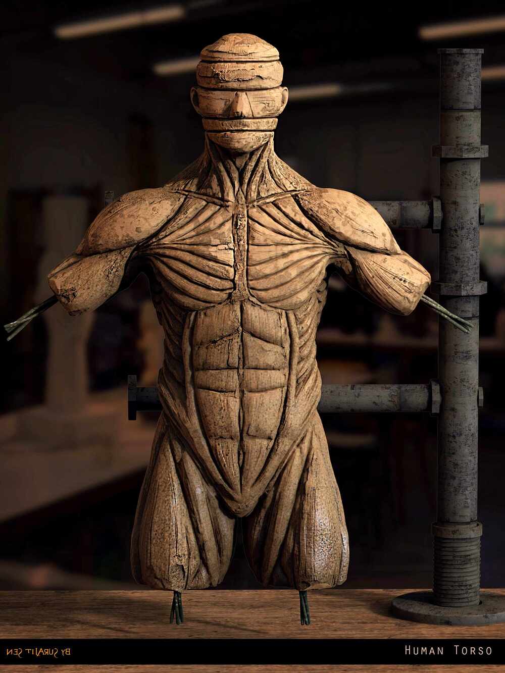 Human_Torso_Anatomy_Digital_Sculpture_SurajitSen_Feb2025 (3)