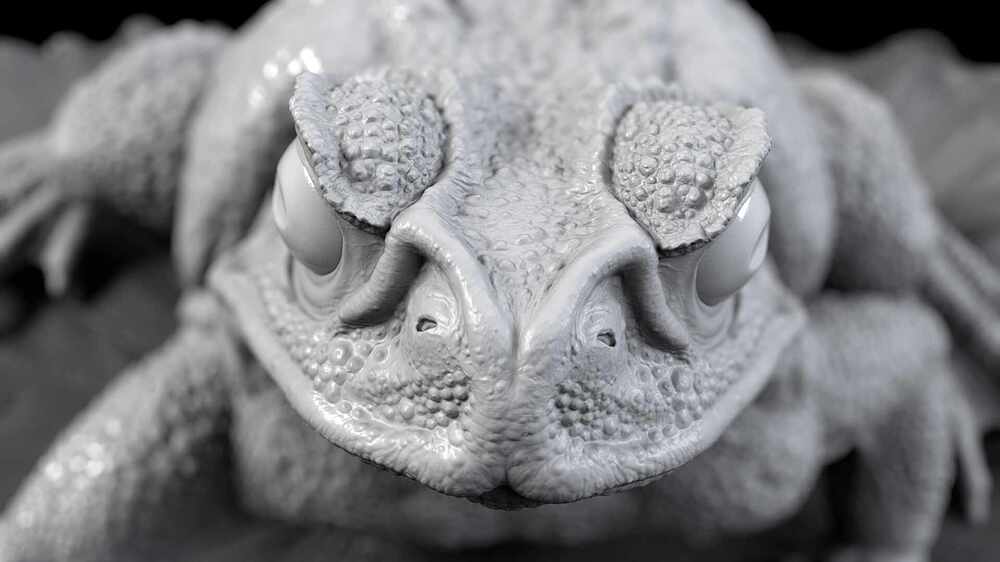 toad15