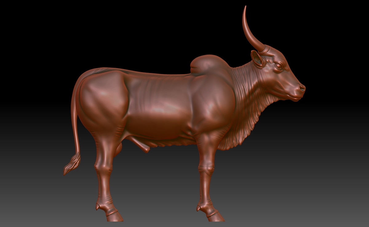 BPR_Bull_01
