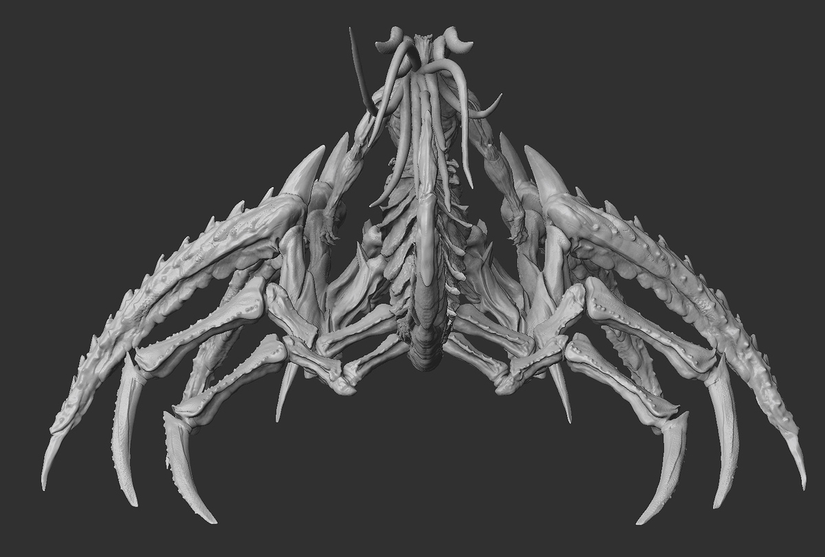 ZBrush-Document4
