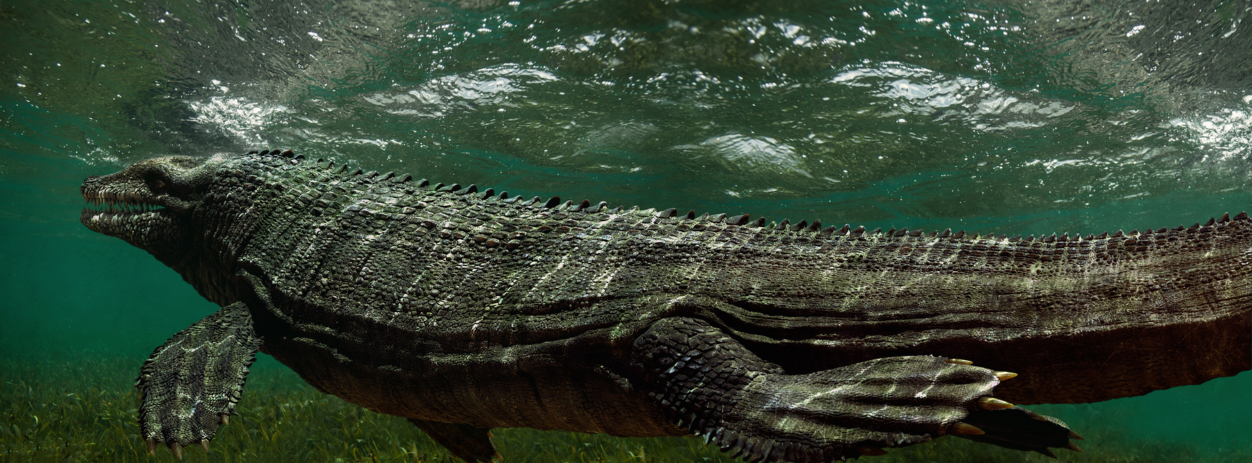 Dakosaurus ZBrushCentral