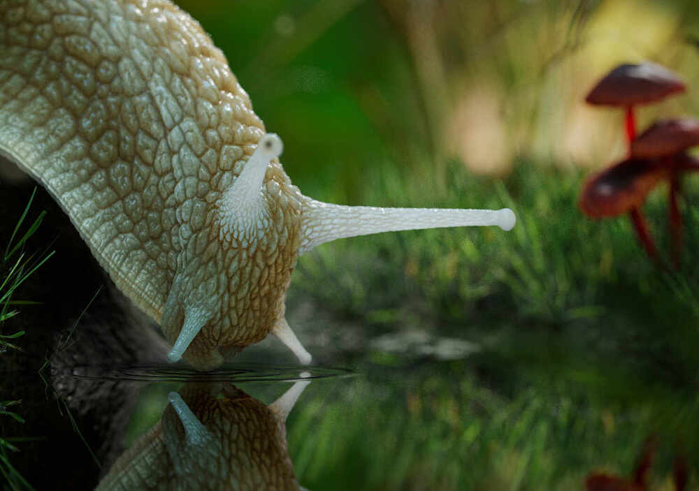 Roman_Snail_04