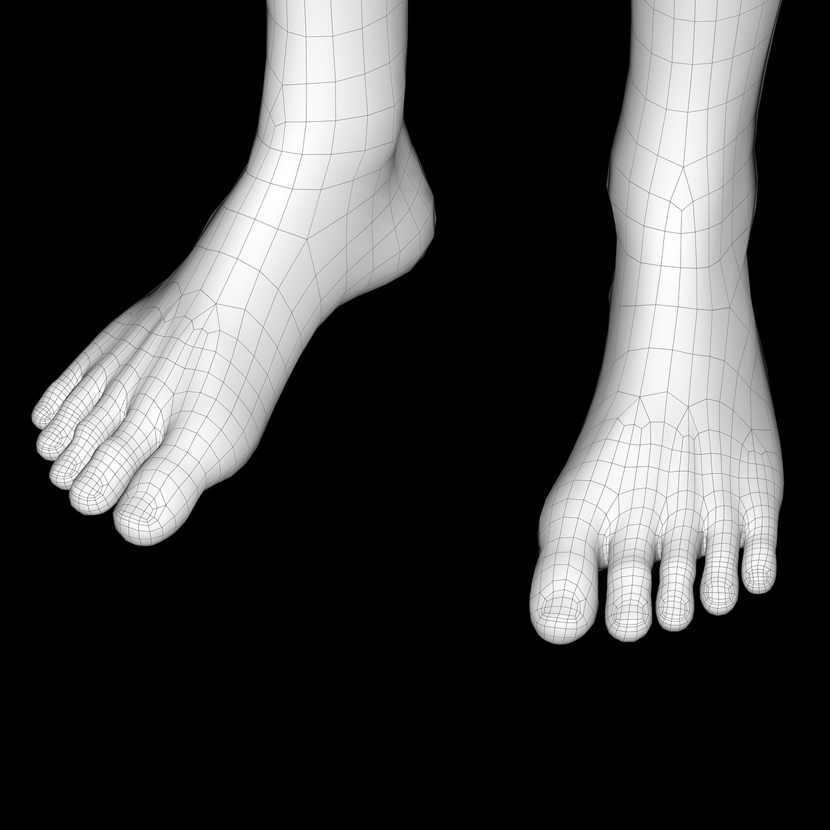 foot