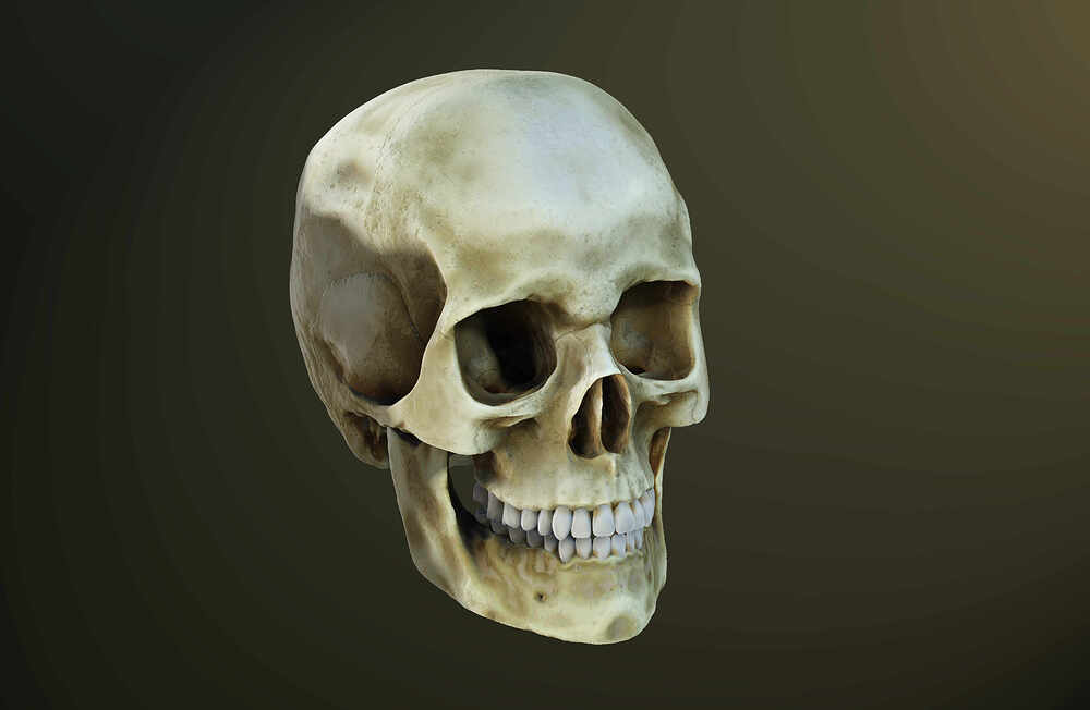 Craneo_Render_ArteFinal