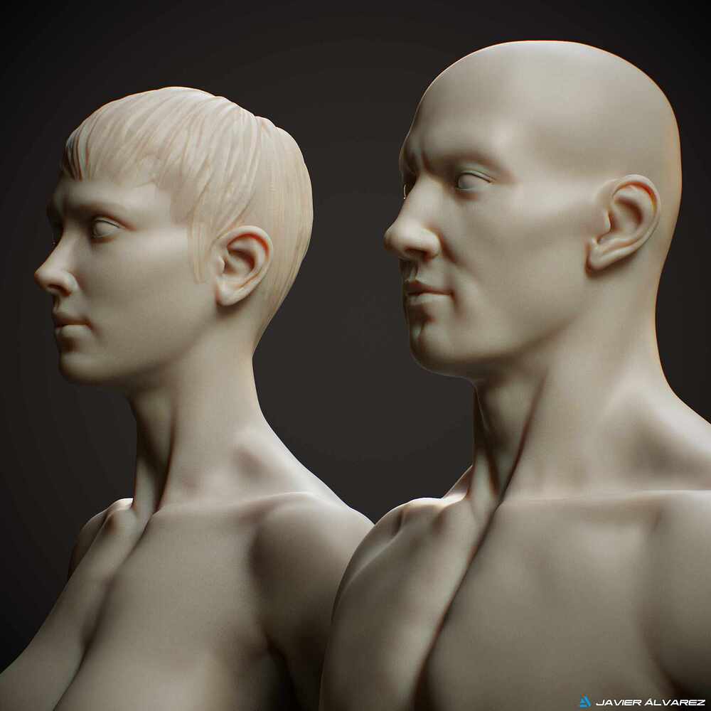 AnatomyJAlvarez