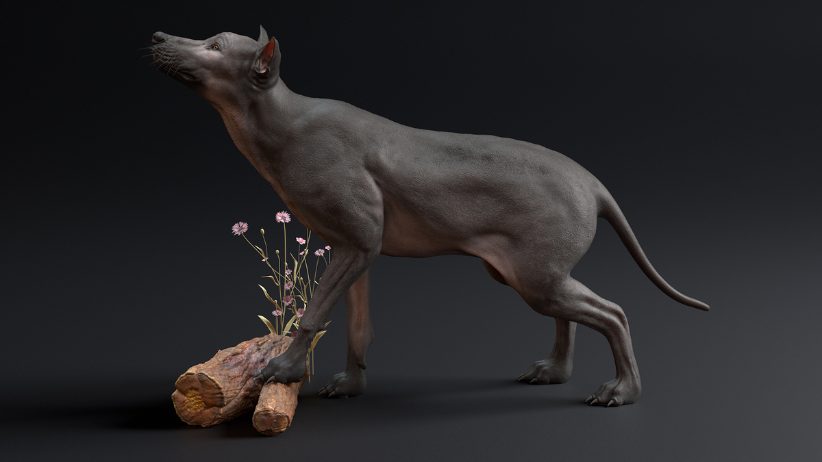 Flower_wolf_02