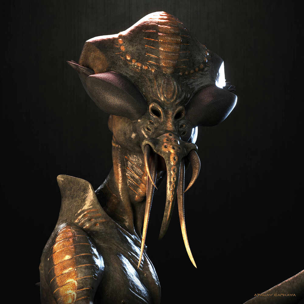 Hunter Insect 2