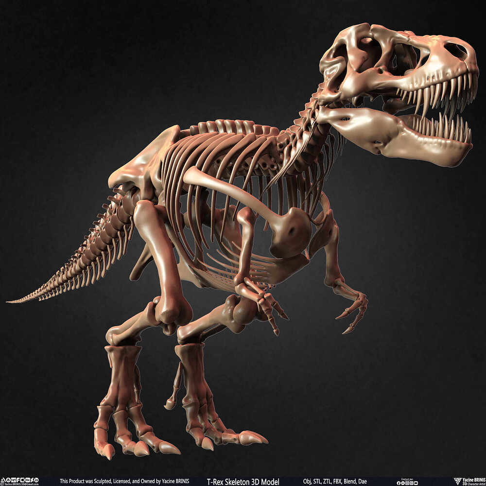 T-Rex Skeleton 3D Model (Tyrannosaurus Rex) Sculpted By Yacine BRINIS Set 002