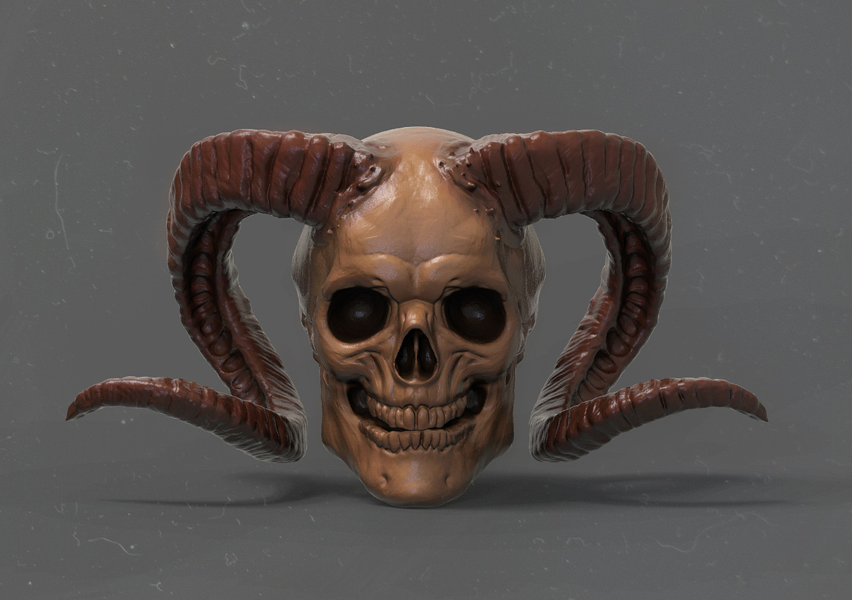 Skull Sketch