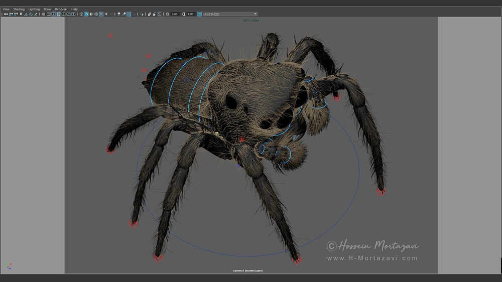 Jumping_Spider_WIP_12