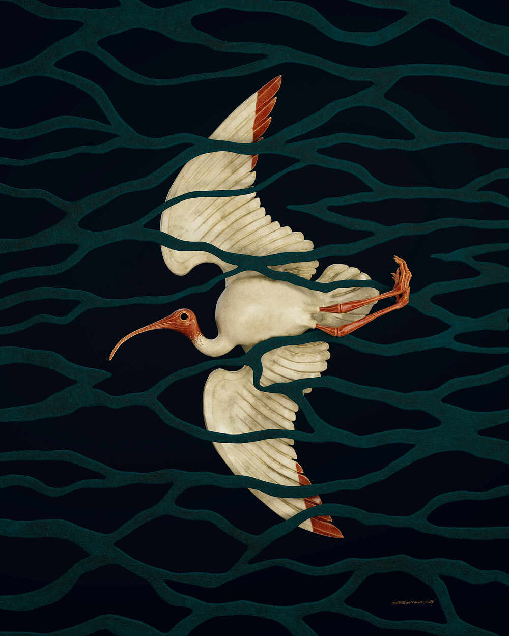 ibis_cg