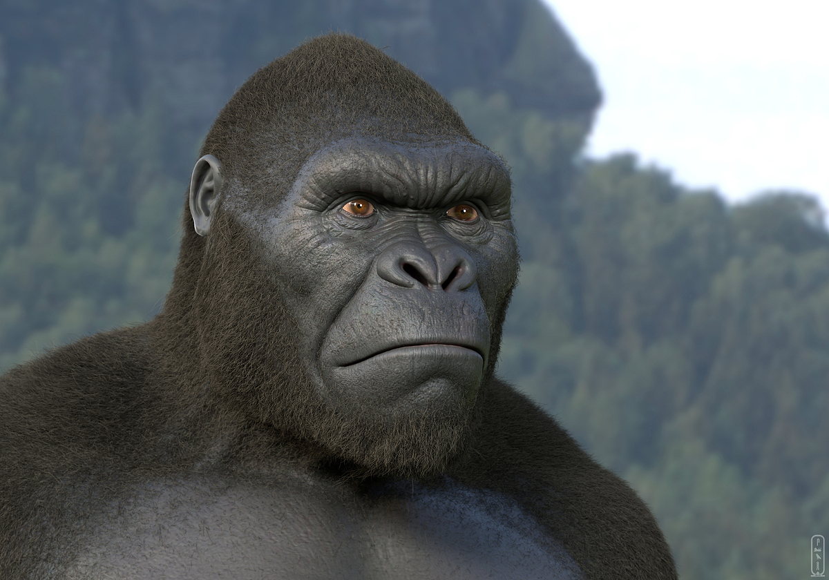 salah-elshehry-z32x-kong