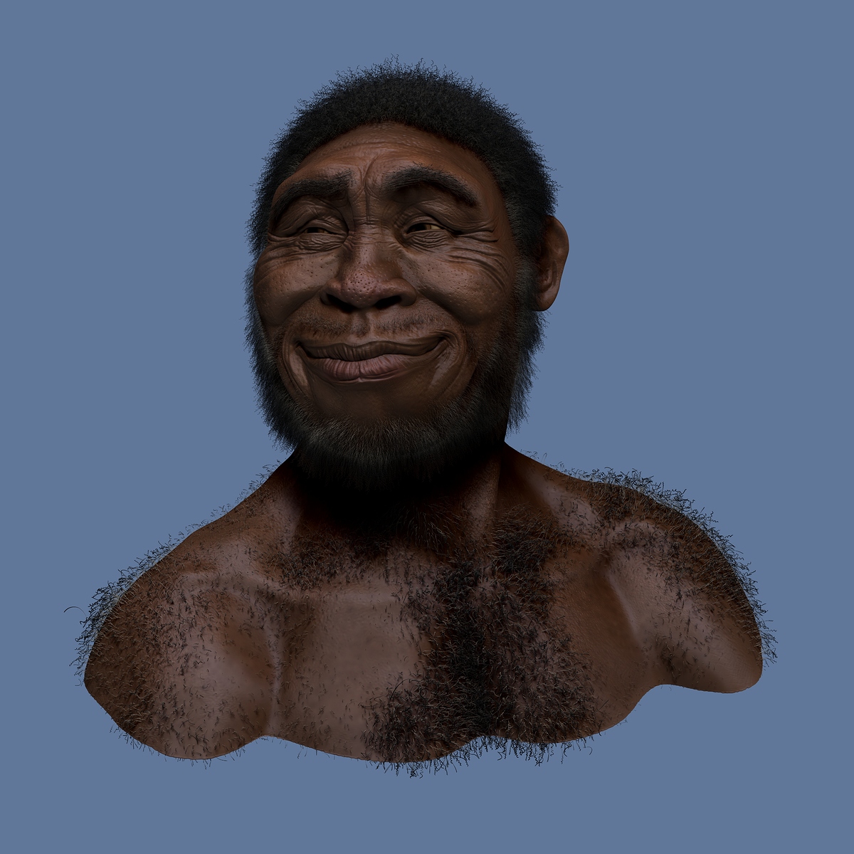 Homo Erectus hair LARGE