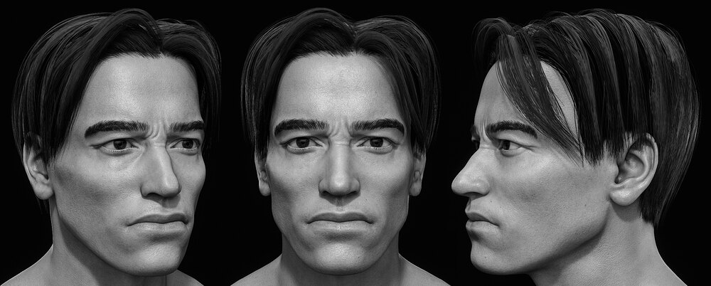 Arnold_Head_Grey