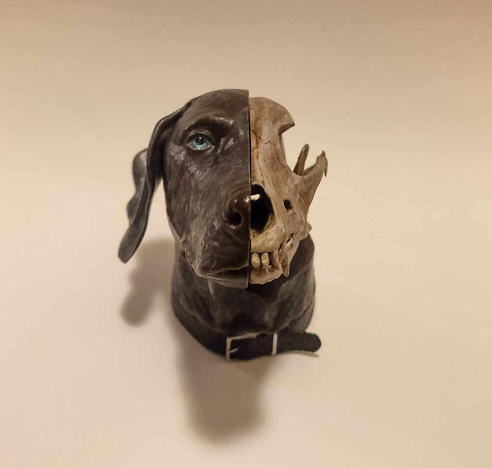 weimaraner paintjob-5