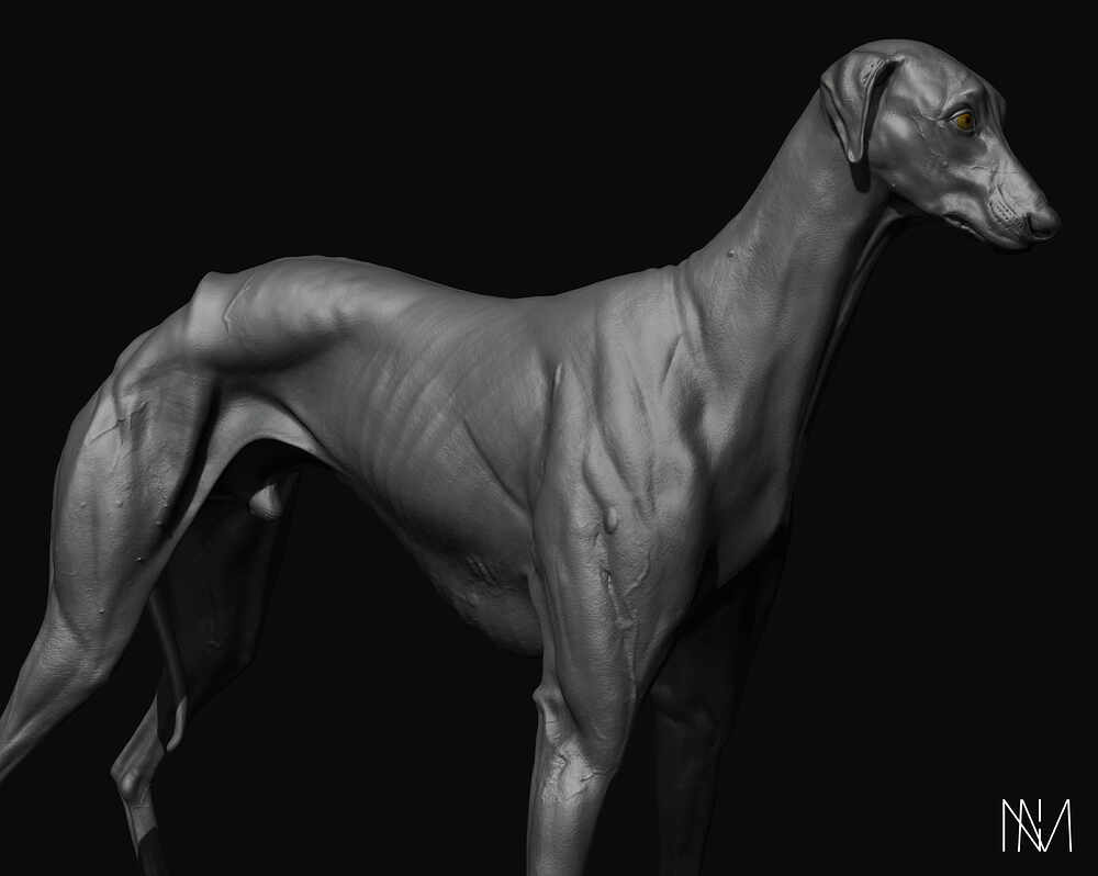 D_Render_16