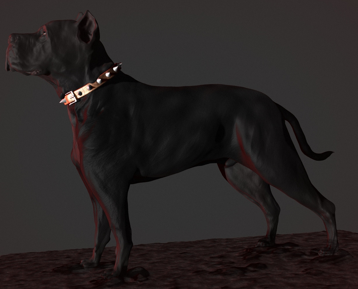 Dog2