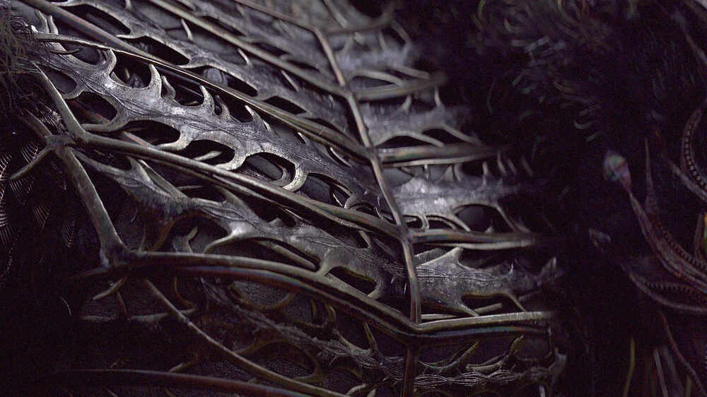 -tbrender-viewport copy