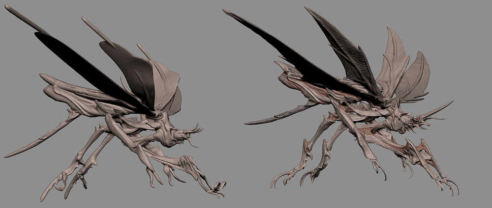 dragonflyvincent