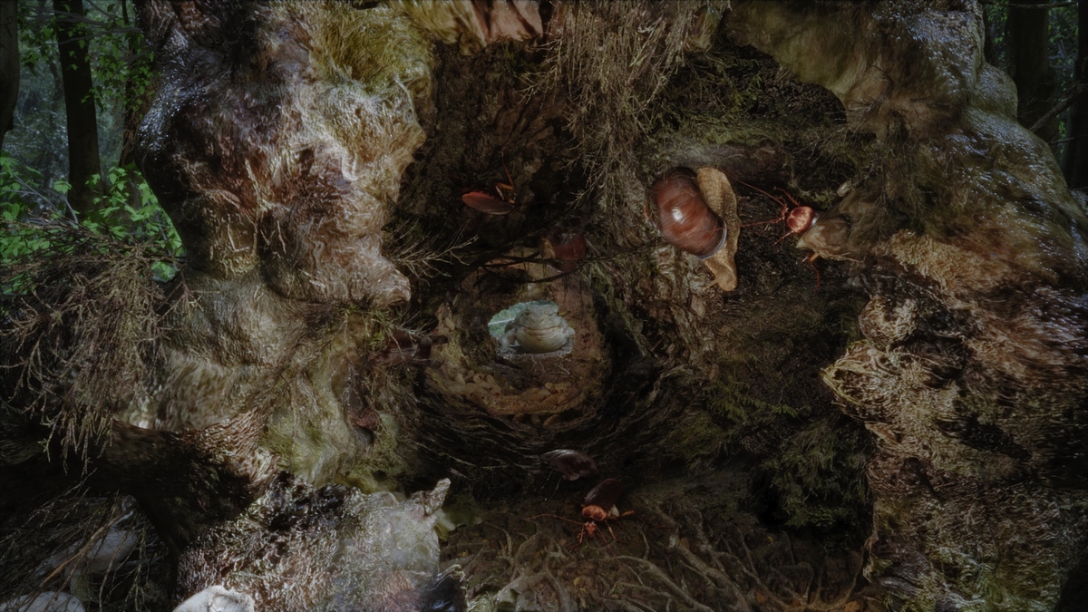 CARACOL3419