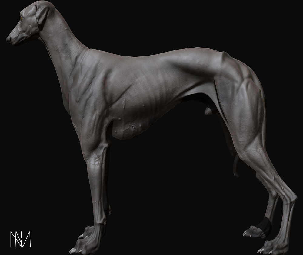 D_Render_04
