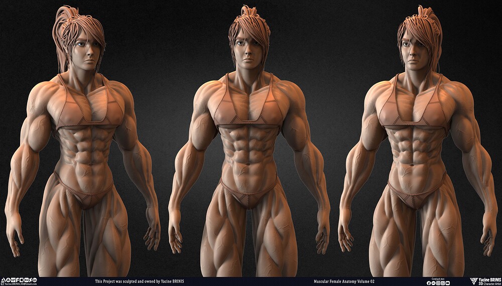 Muscular Female anatomy Volume 02 sculpted by Yacine BRINIS 012