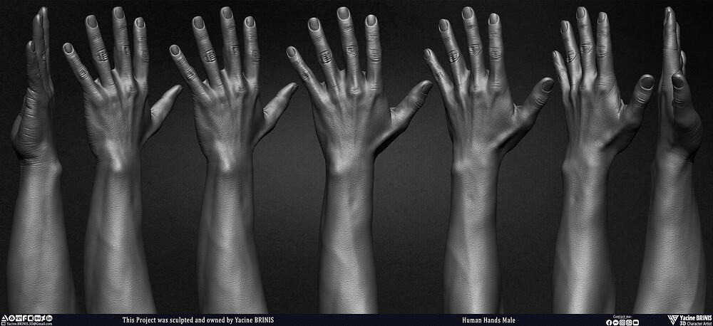 Human Hands Male Basemesh 3D Model sculpted by Yacine BRINIS 007