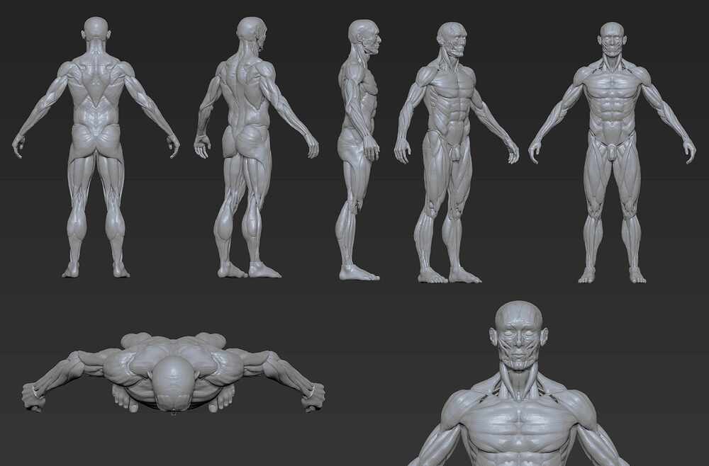 ECORCHE_GREY