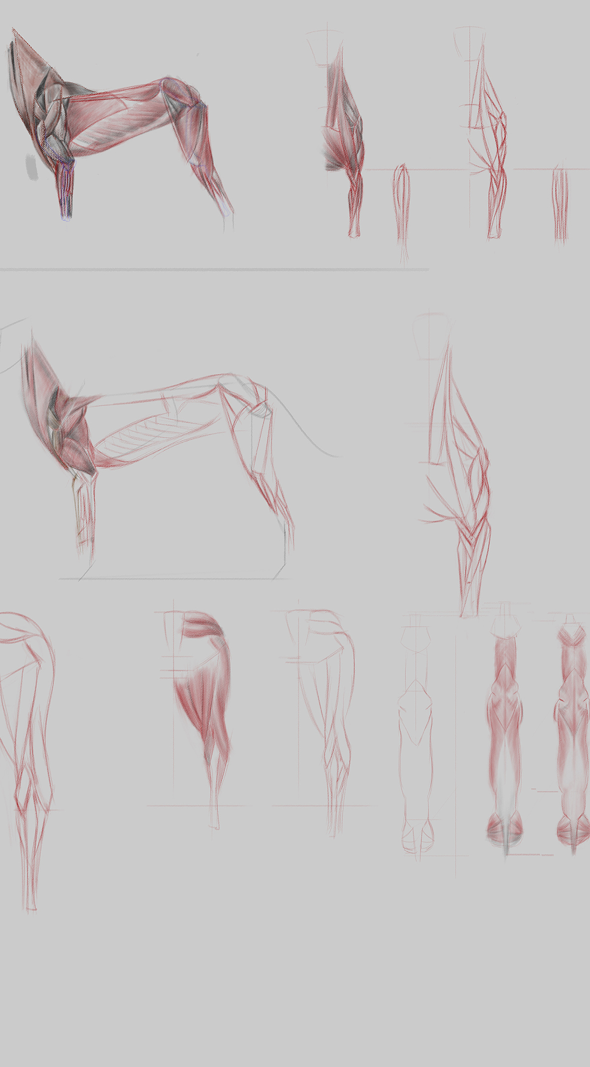 Dog_Sketch_1_Reduced.jpg