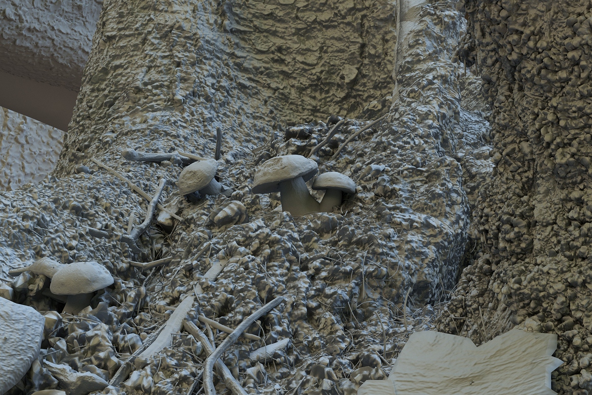 Proto-Clay_main