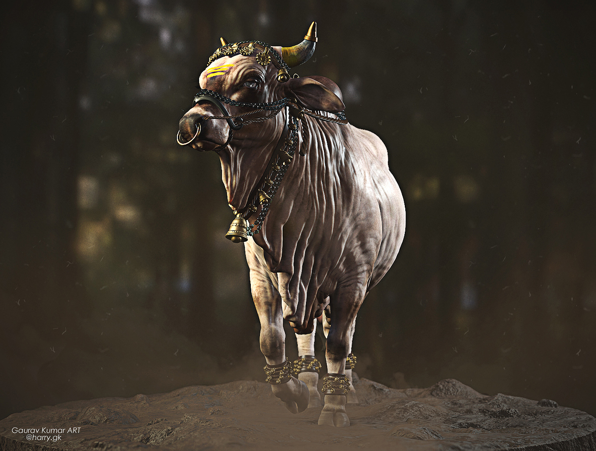Bull__Camera 2_001