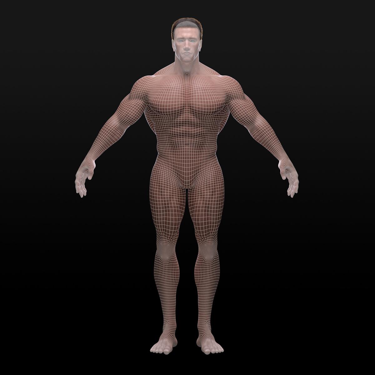 kota-kasahara-front-wire