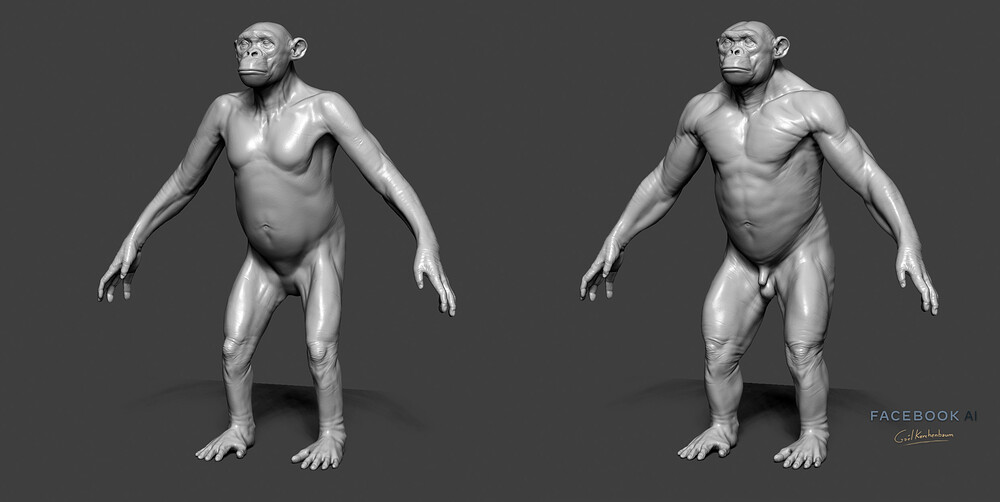 04_gael-kerchenbaum-04-chimp-breakdown
